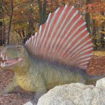 Bydgoszcz 5.11.2011r 063