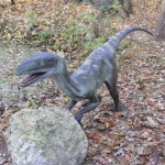 Bydgoszcz 5.11.2011r 064