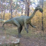 Bydgoszcz 5.11.2011r 065