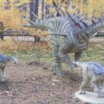 Bydgoszcz 5.11.2011r 070