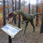 Bydgoszcz 5.11.2011r 071