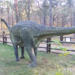 Bydgoszcz 5.11.2011r 072