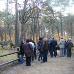 Bydgoszcz 5.11.2011r 076