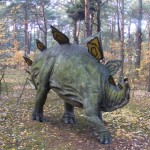 Bydgoszcz 5.11.2011r 078