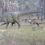 Bydgoszcz 5.11.2011r 087