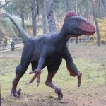 Bydgoszcz 5.11.2011r 088