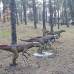 Bydgoszcz 5.11.2011r 089