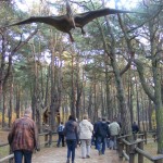 Bydgoszcz 5.11.2011r 096