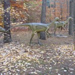 Bydgoszcz 5.11.2011r 106